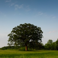 Rural America Scenics